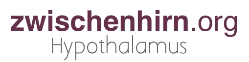 zwischenhirn.org: Verein für Hypothalamus Erkrankte i.G.
